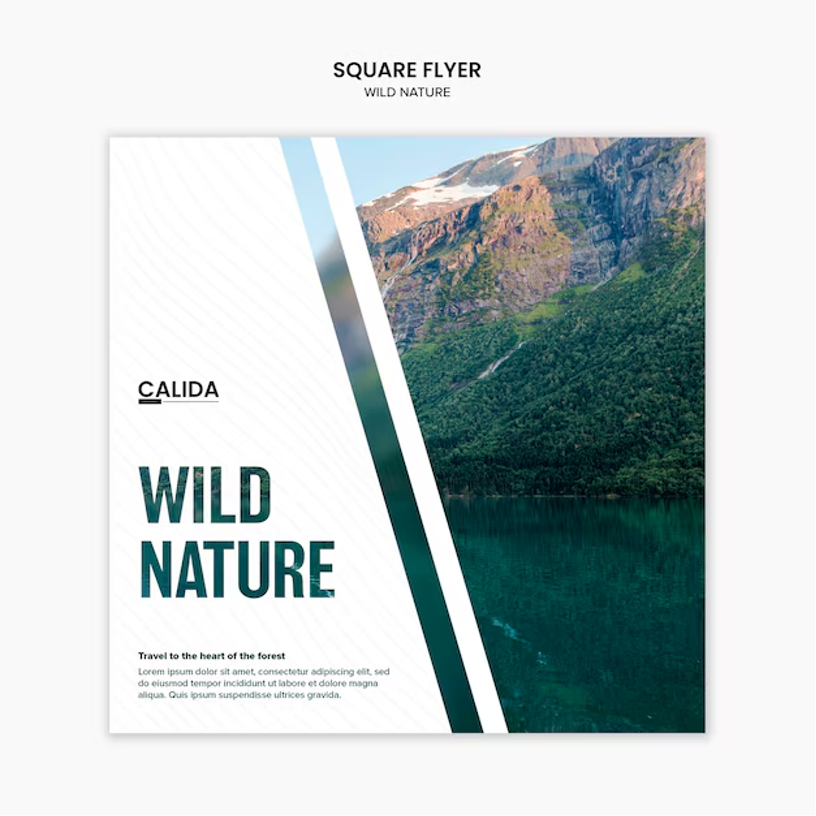 Free squarespace themes vs custom Squarespace templates ,best squarespace template, change template squarespace, free squarespace templates create a landing page with Squarespace for your business, how to remove price from product on squarespace, Presentybox, squarespace about page, squarespace website templates